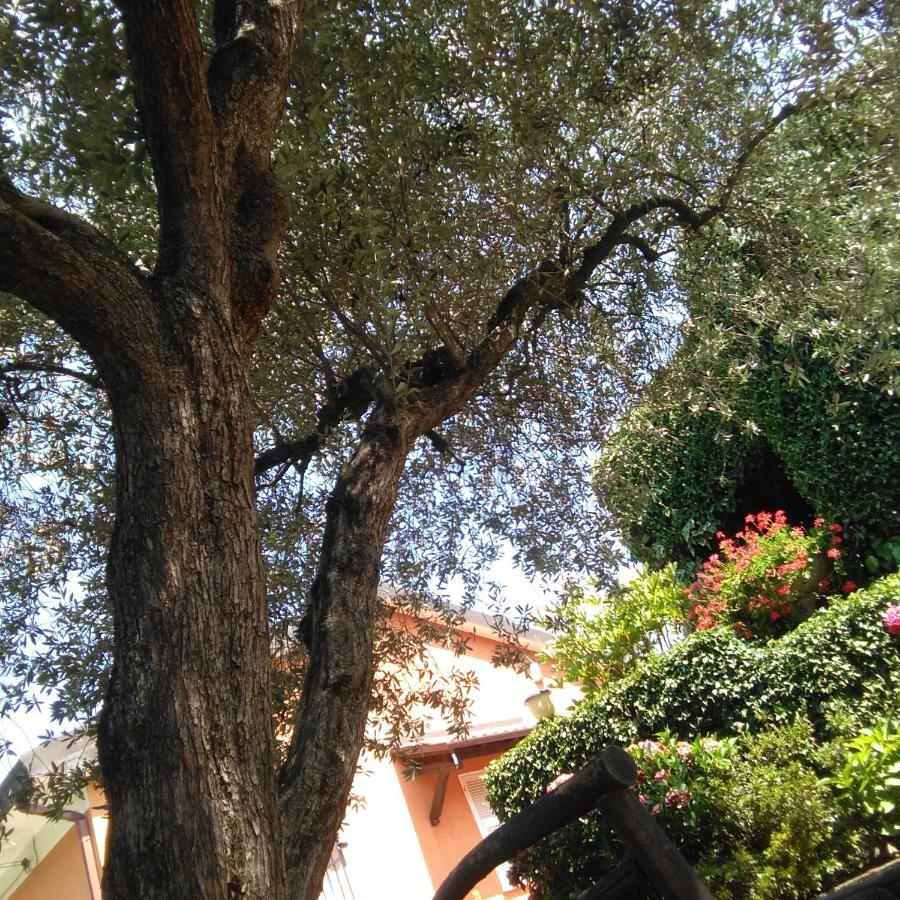 Bargoncello Lägenhet Riccò del Golfo di Spezia Exteriör bild
